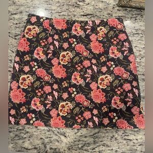 Ann Taylor Loft embroidered Skirt size 8